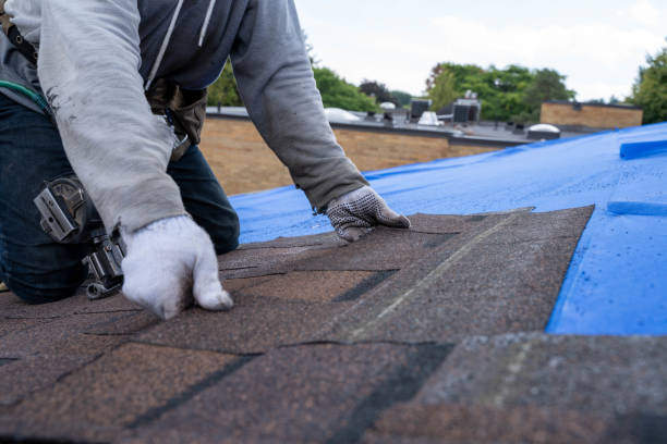 Best Roof Moss and Algae Removal  in Schoolcraft, MI
